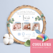 Faire-part de naissance original nid et plumes– papier cartonné découpé en forme de rondelle de bois avec les photos de votre bébé fille ou bébé garçon - modèle avec nid d’oiseau et plumes - couleur bleu tendre, poudré pastel - style champêtre chic, campagne rustique. Création : studio postscriptum